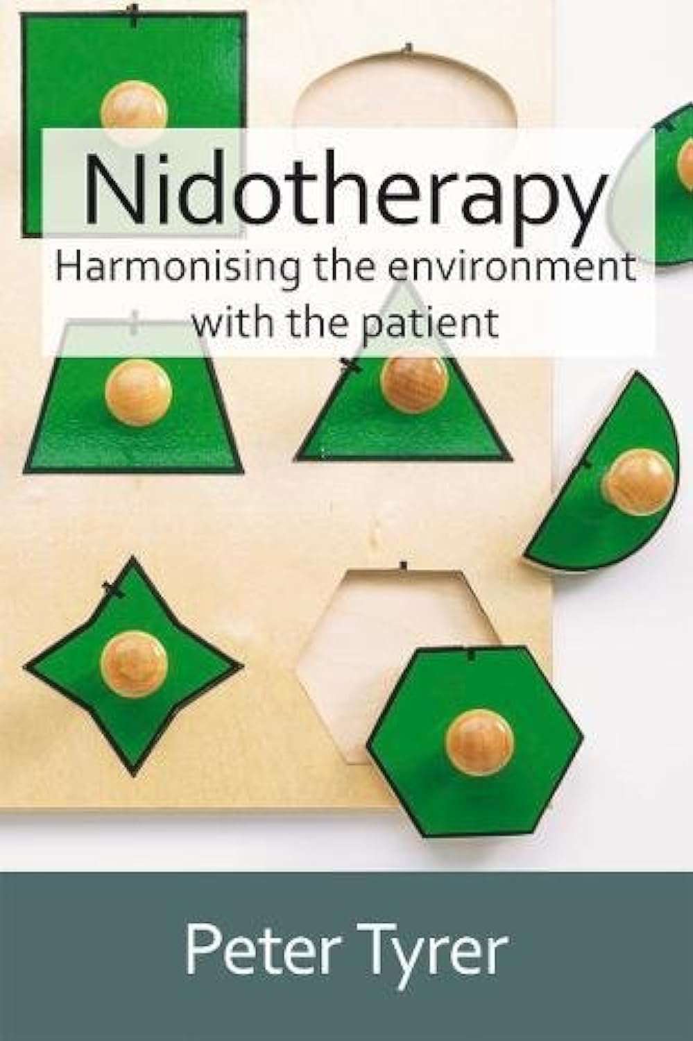 Nidotherapy: Harmonising The Environment With The Patient 1ED