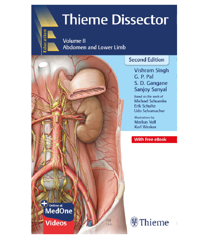 Thieme Dissector Abdomen And Lower Limb