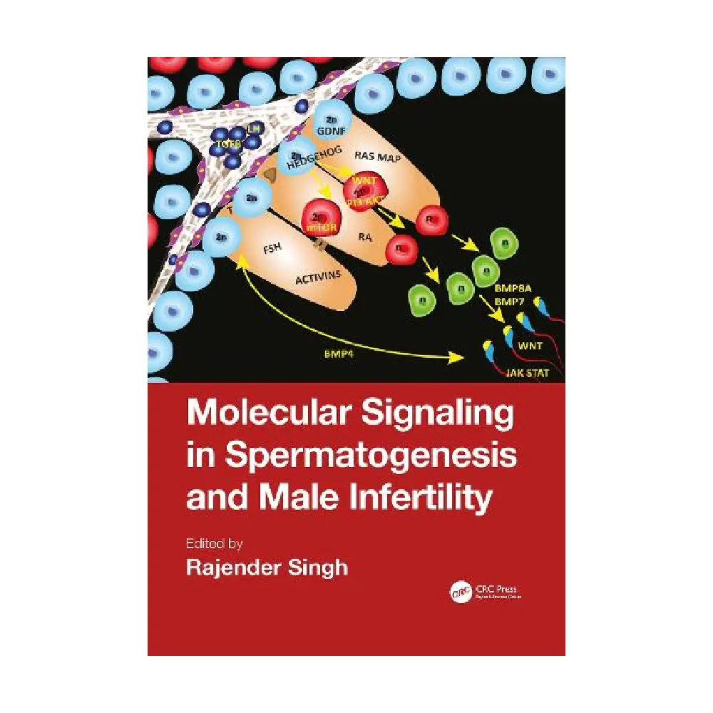 MOLECULAR SIGNALING IN  SPERMATOGENESIS AND MALE INFERTILITY