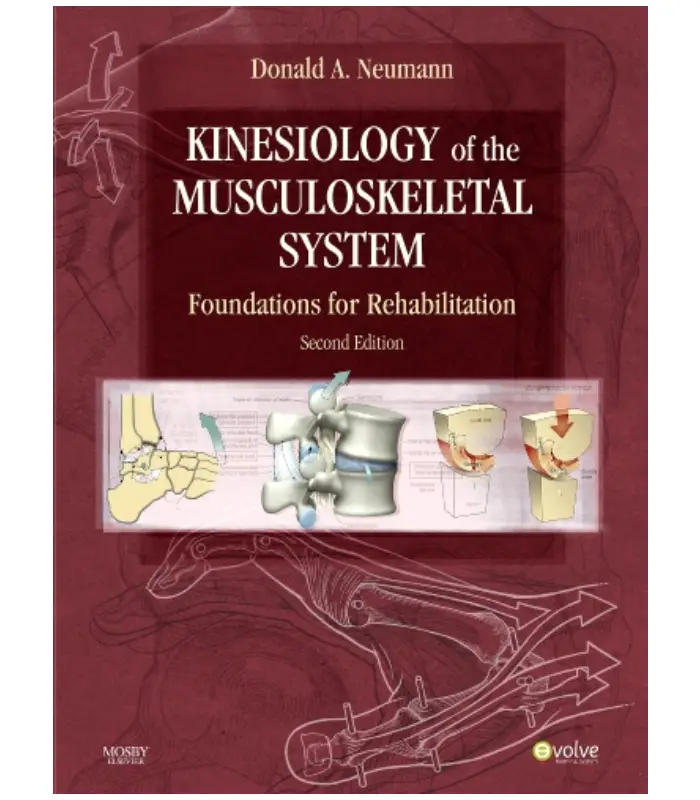 Kinesiology of the Musculoskeletal System Foundations for Rehabilitation 2Ed